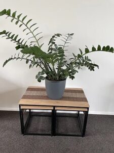 Kairo Coffee and Side Table Set - Natural/Black