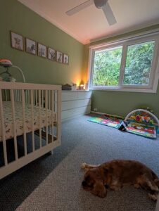 Naomi Baby Adjustable Cot