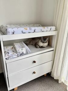 Naomi Change Table with Drawers