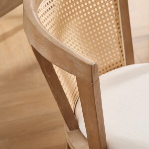 Janessa Dining Chair