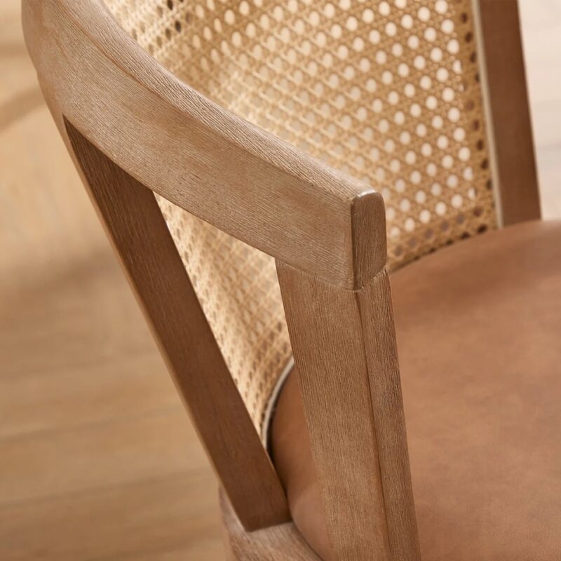 Janessa Dining Chair-Leather