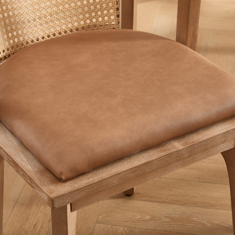Janessa Dining Chair-Leather