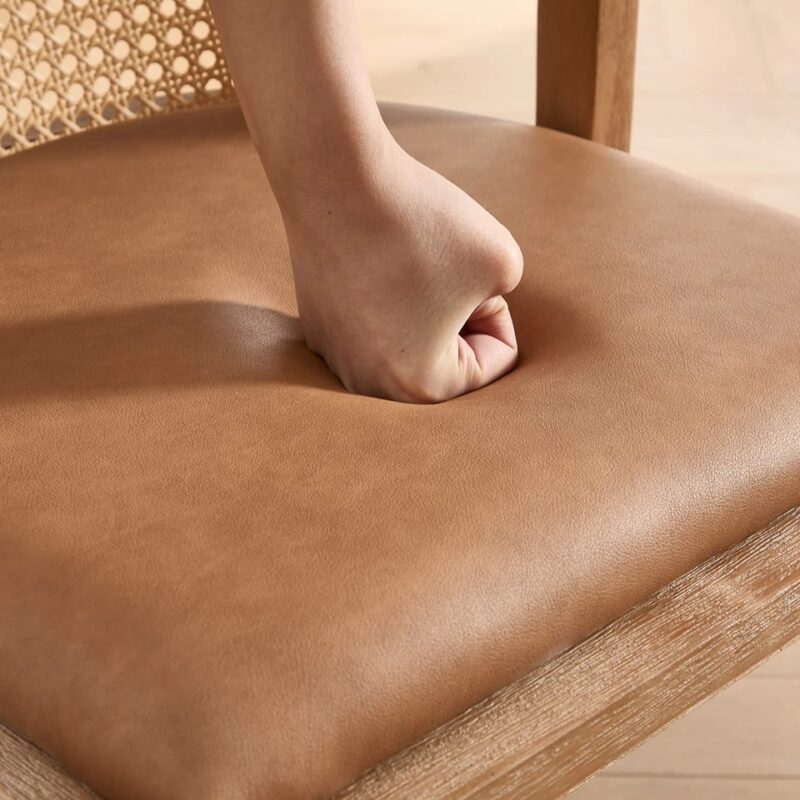 Janessa Dining Chair-Leather