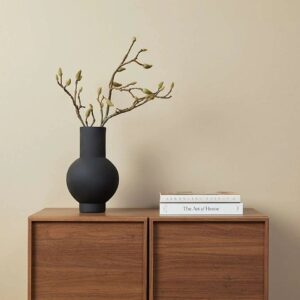 Orin Two Door Cabinet