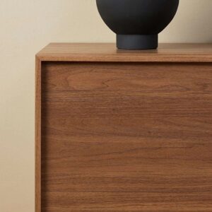 Orin Two Door Cabinet