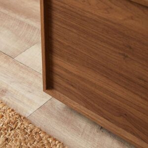 Orin Two Door Cabinet