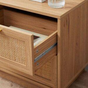 Soren Rattan Pedestals