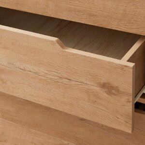 Sova Tallboy