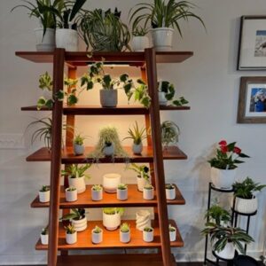 Brixton Ladder Bookshelf 106cm