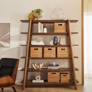 Brixton Ladder Bookshelf