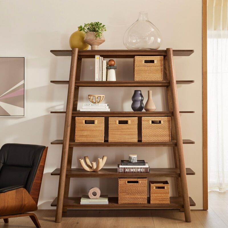 Brixton Ladder Bookshelf