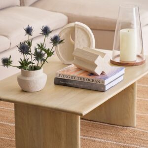deluca-solid-wood-coffee-table-8 Deluca Solid Wood Coffee Table